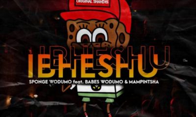 Ibheshu ft. Mampintsha & Babes Wodumo