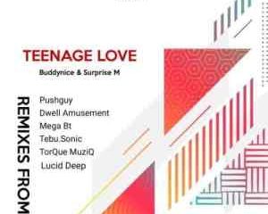 Buddynice & Surprise M – Teenage Love (Pushguy Remix)