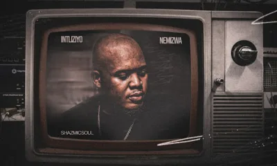 Download Shazmicsoul Intliziyo Nemizwa EP