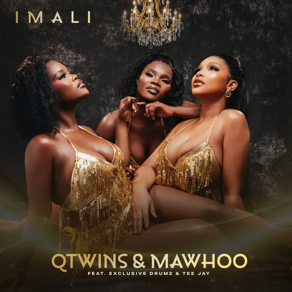 Q Twins - Imali ft. Mawhoo, Exclusive Drumz & Tee Jay Mposa.Co.Za