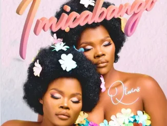 Q Twins - Impilo Ft. Beast RSA, Dladla Mshunqisi & DJ Fuzeh Mposa.Co.Za