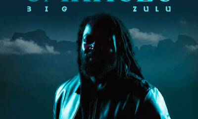 Big Zulu - Bengifisa ft. Boohle Mpoza.Co.Za